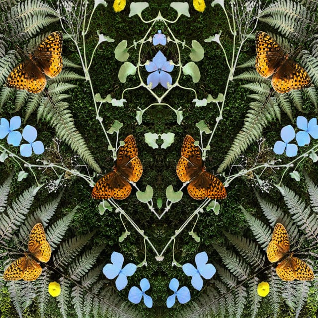 Aubades, Jean-Michel Blais, album cover