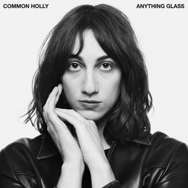 Anything glass, Common Holly, album cover