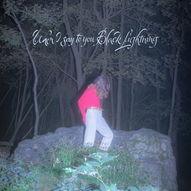 When I Say To You Black Lightning, Common Holly, album cover