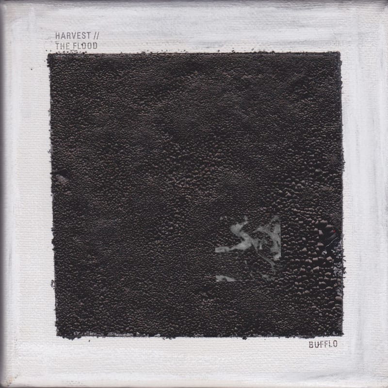 HARVEST // THE FLOOD, Bufflo, album cover
